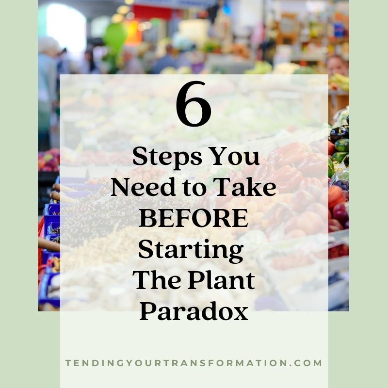 Image with text, "6 Steps You NEED to Take Before Starting The Plant Paradox."