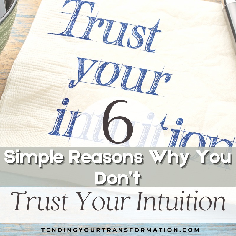 Image with text, “6 simple reasons why you don’t trust your intuition. Tendingyourtransformation.com”