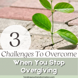 Image with text, “3 Challenges to overcome when you stop overgiving. Tendingyourtransformation.com”