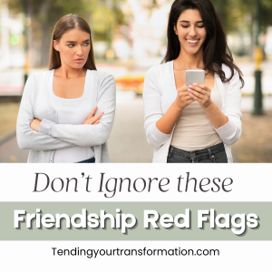 Image with text, "Don't Ignore these friendship red flags. Tendingyourtransformation.com"
